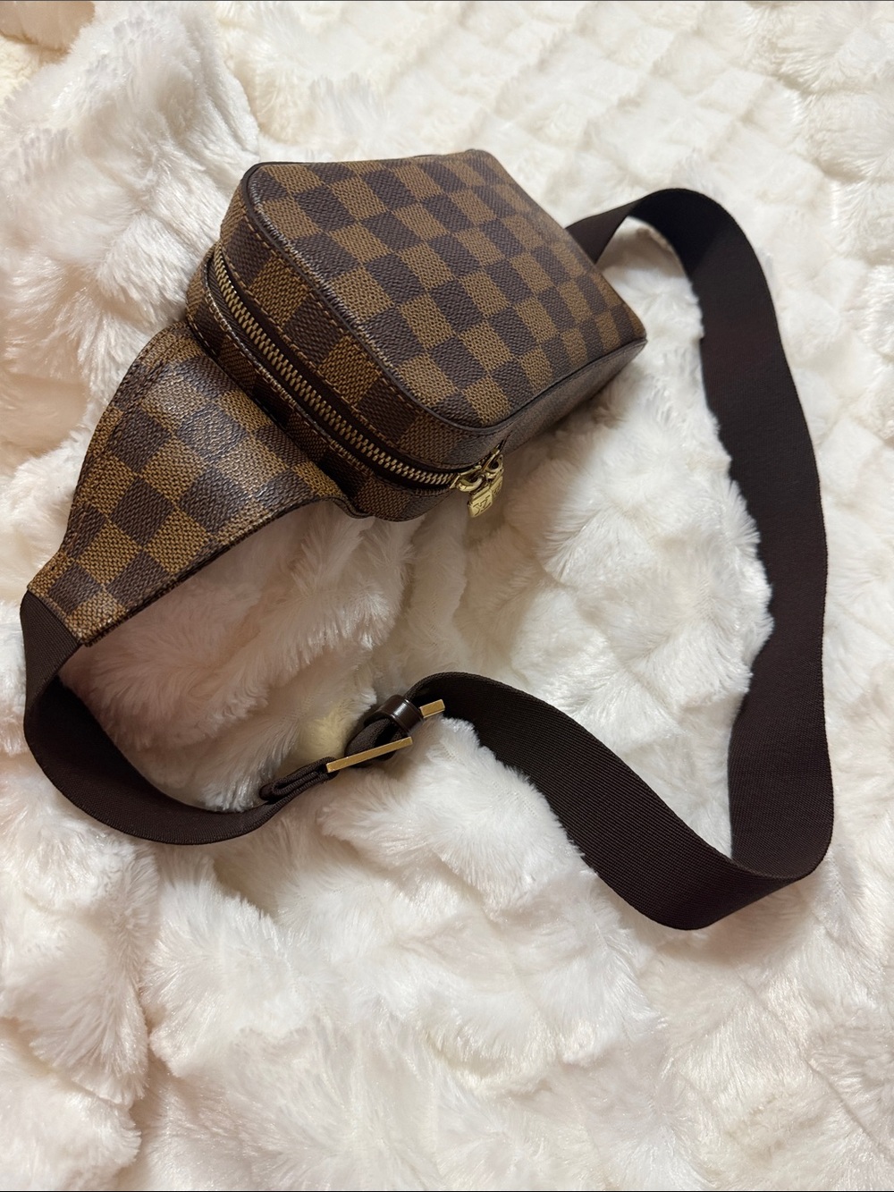 Louis Vuitton Brown Damier Ebene Belt Bag - Picture 2 of 12